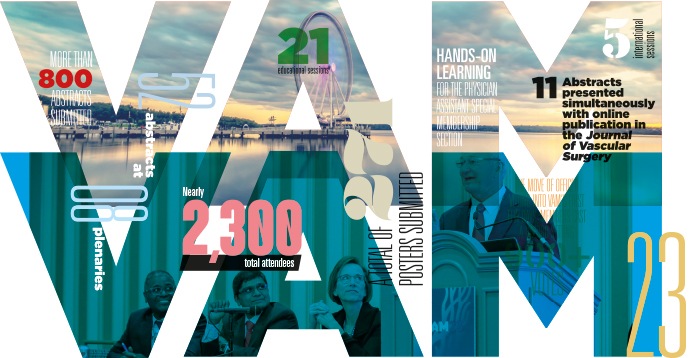 The numbers are in: VAM 2023 adds up to another SVS classic