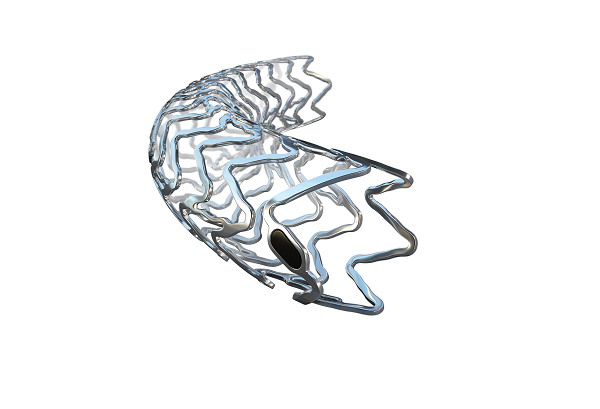 US FDA Breakthrough Device designation granted for Biotronik’s Freesolve BTK resorbable magnesium scaffold