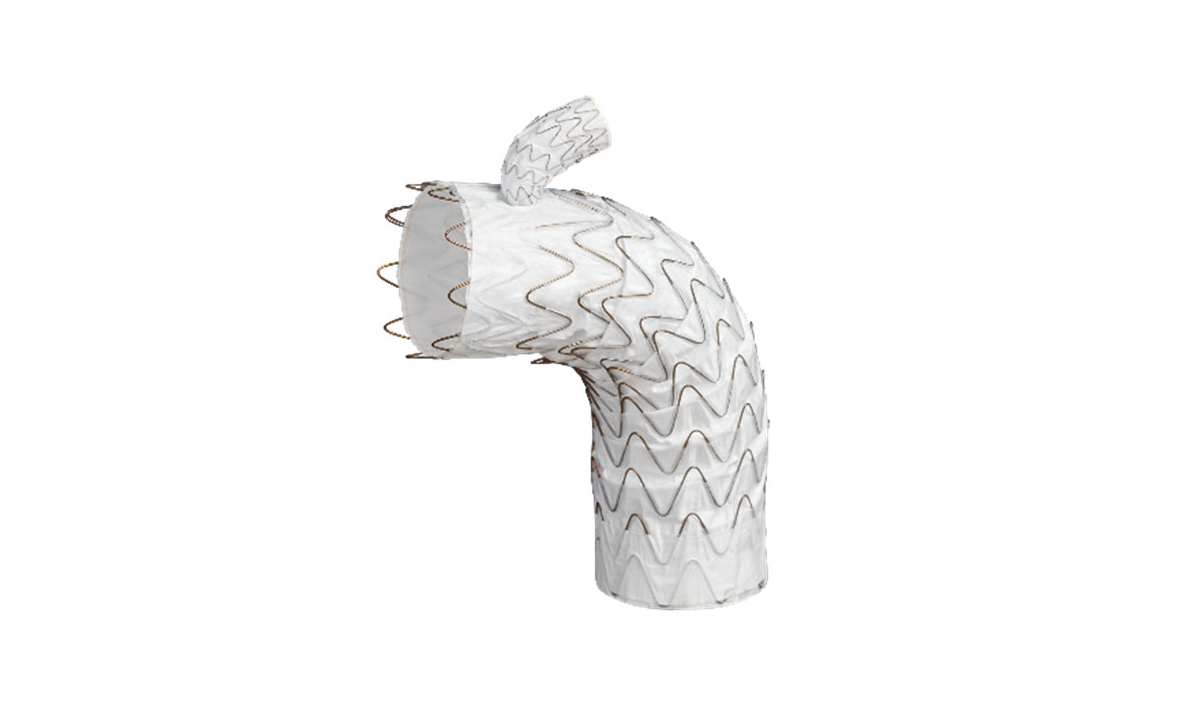 Gore announces first commercial implant of Gore Tag thoracic branch endoprosthesis in Canada