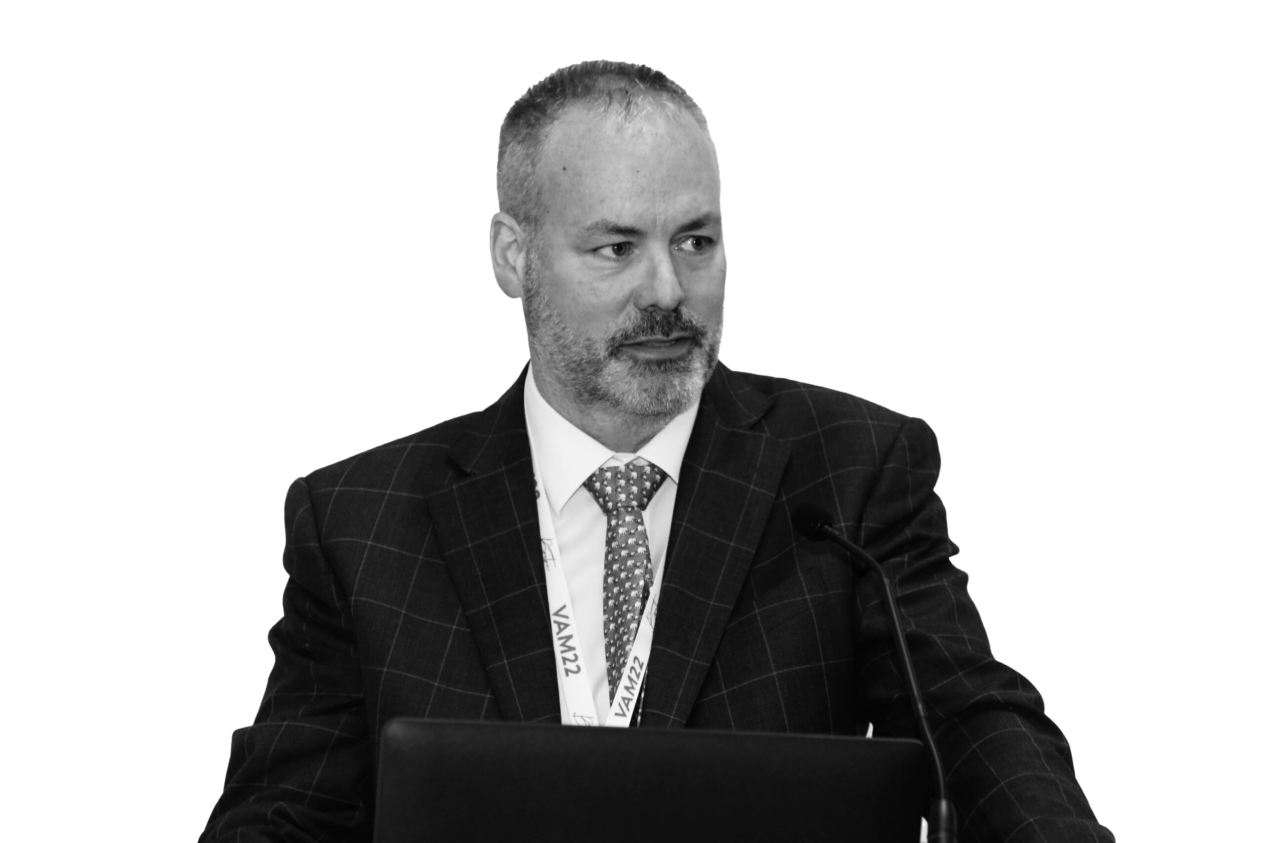 VAM 2024: Changes to carotid stenting landscape in United States set to be discussed