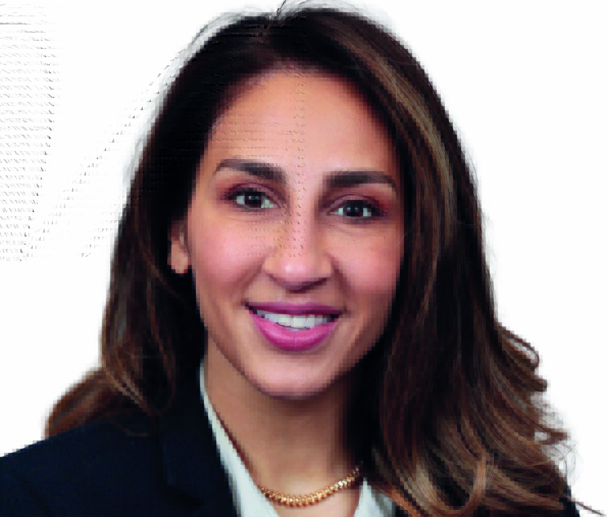 Data and discussion forefront carotid session at ‘pivotal moment’