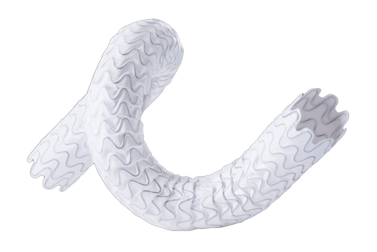 Merit Medical announces FDA approval of the Wrapsody cell-impermeable endoprosthesis