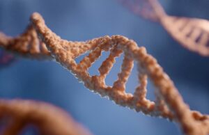 Mentorship takes center stage at VRIC 2025