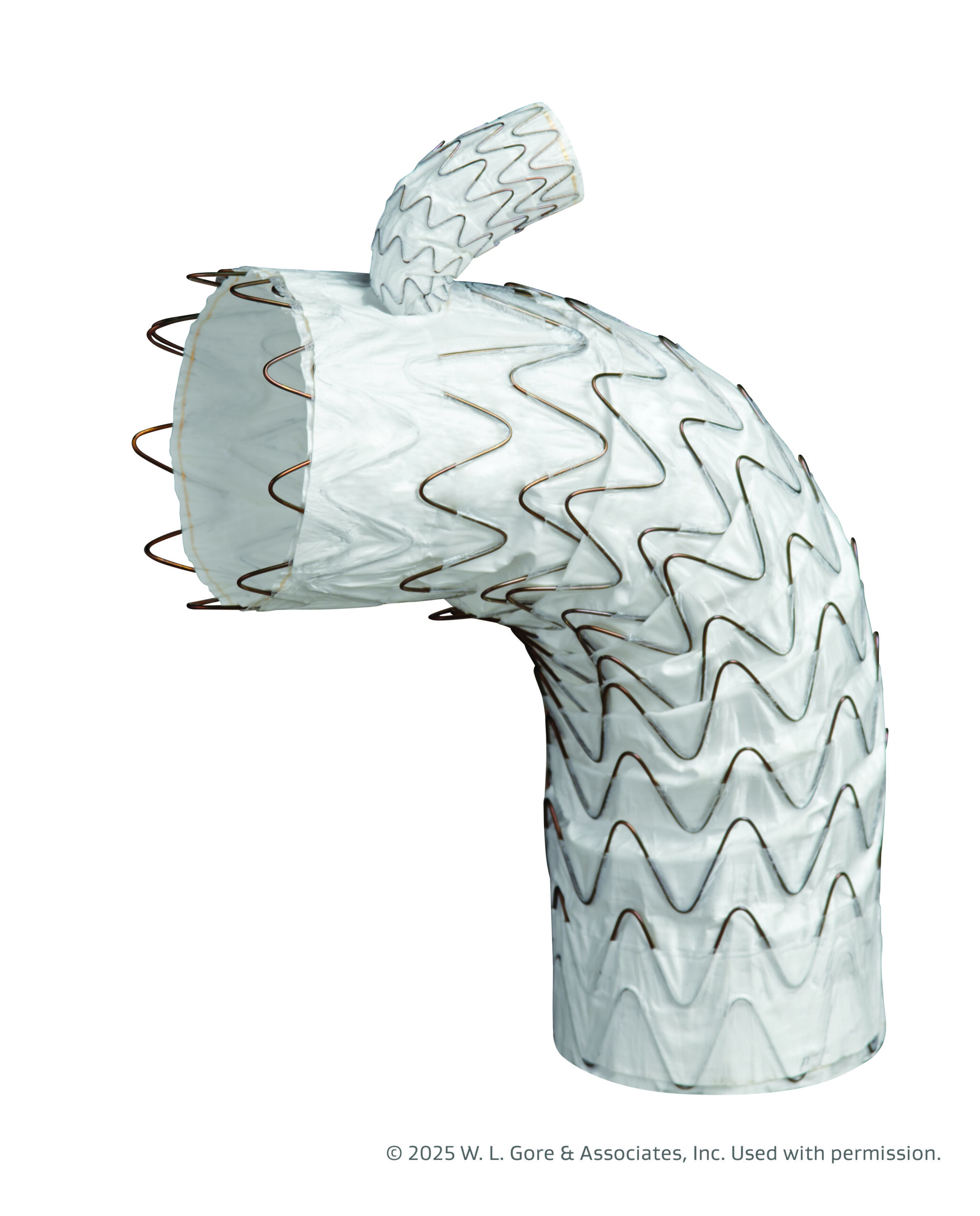 Gore Tag thoracic branch endoprosthesis receives expanded FDA approval for endovascular aortic arch repair