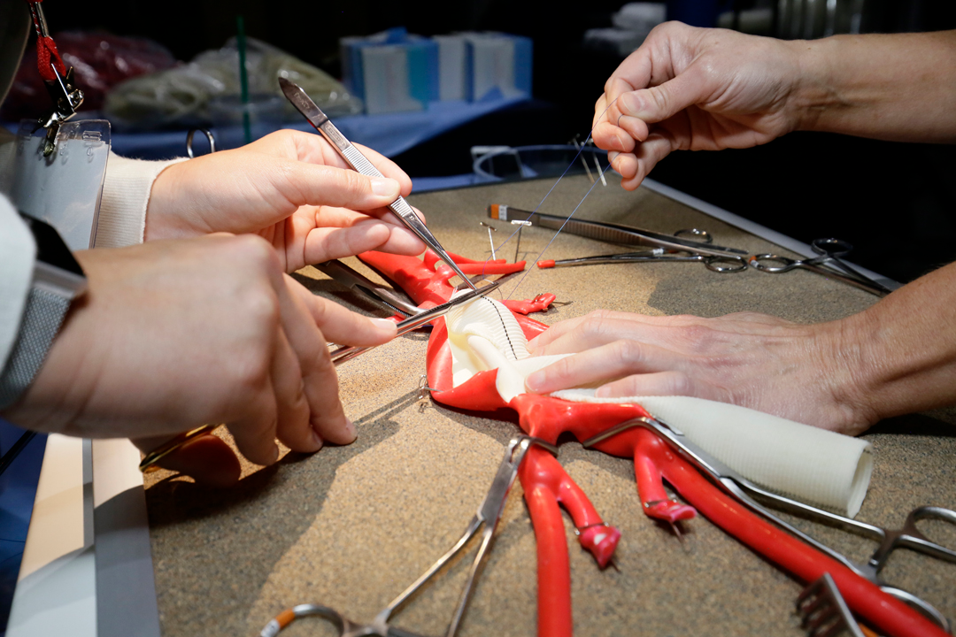 Explore the future of vascular surgery at Touchpoint@VAM