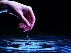 AI: Where it lands today and how it might impact the vascular future