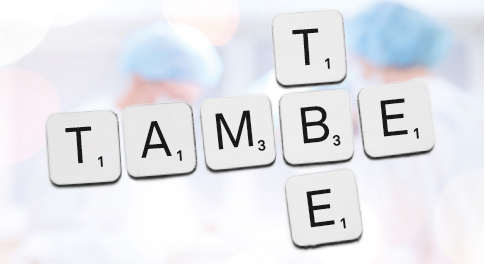 TAMBE and TBE: Evolving experiences and piecing together channels of inquiry