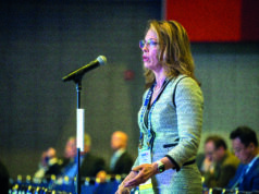 A global concern: WFVS seeks to level up vascular education in every corner of the world