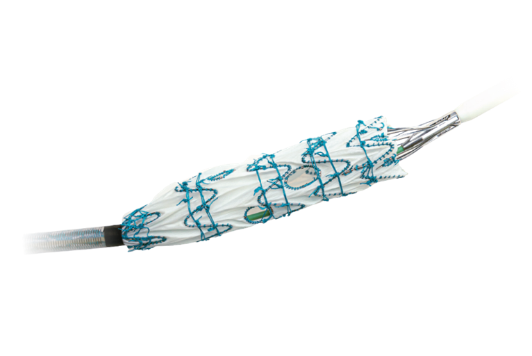 Terumo Aortic announces launch of Fenestrated Treo pivotal IDE study in US